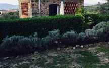 Billeder fra gæster i Isidoro