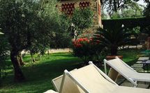 Billeder fra gæster i Isidoro