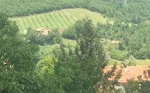 Billeder fra gæster i Palazzo Rosadi