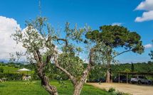 Billeder fra gæster i Podere Romina Exclusive