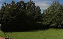 Billeder fra gæster i Il Valacchio