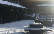 Billeder fra gæster i Toule