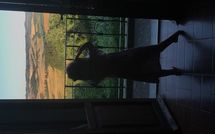 Billeder fra gæster i Villa di Montelopio