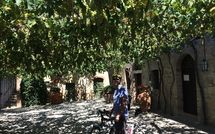 Billeder fra gæster i Villa Piazza della Fortezza