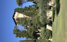 Billeder fra gæster i Rocca di Cetona