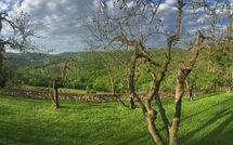 Billeder fra gæster i Casalta di Pesa