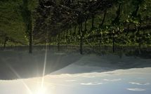 Billeder fra gæster i Casalta di Pesa