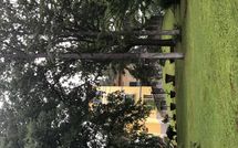 Billeder fra gæster i Il Poggio di Patrignone