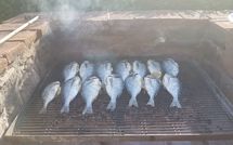 Billeder fra gæster i Torre di Vignale