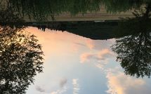 Billeder fra gæster i Il Pasqualino