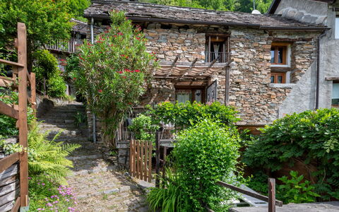 Il Gianlupo: Plante, Bygning, Vindue, Himmel, Vegetationen, Træ, Sommerhus, Biome, Kvarter, Hus
