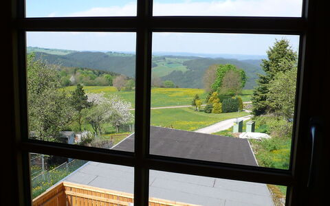 Weitsicht: Himmel, Daytime, Ejendom, Bygning, Indretning, Skygge, Vegetationen, Træ, Biome
