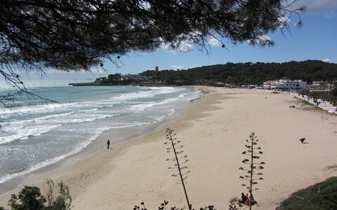 Vistamar: Krop Af Vand, Strand, Kyst, Kyst, Hav, Himmel, Vand, Ocean, Coastal Og Oceaniske Landskabsformer, Sand