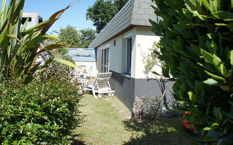 Ty Greg: Plante, Ejendom, Plantesamfund, Bygning, Himmel, Træ, Hus, Vegetationen, Arecales, Land Lot