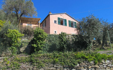 Ca Dò Sante: Plante, Himmel, Plantesamfund, Vindue, Bygning, Hus, Land Lot, Træ, Sommerhus