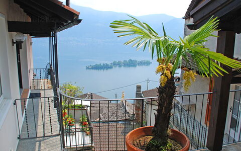 Ronco Sopra Ascona 75: Himmel, Plante, Blomsterkrukke, Stueplante, Bygning, Sky, Vegetationen, Bjerg, Træ, Arecales