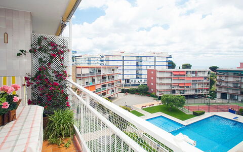 Mariola: Sky, Himmel, Plante, Bygning, Daytime, Vindue, Blomst, Blomsterkrukke, Urban Design, Hus