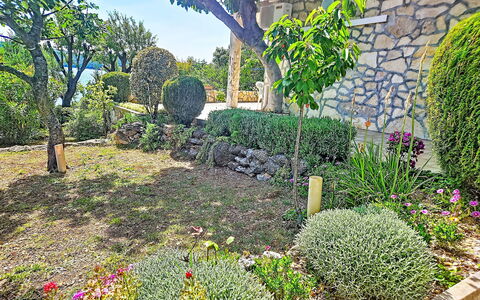 Matal: Blomst, Have, Busk, Plantesamfund, Bunddække, Forår, Backyard, Landscaping, Gård