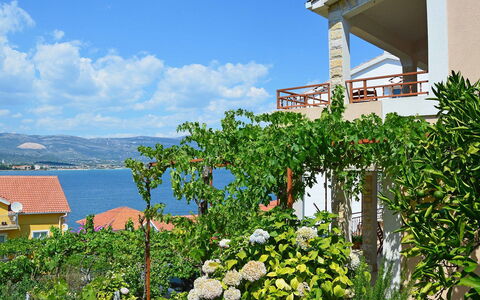 Snježana: Himmel, Blomst, Plante, Sky, Ejendom, Bygning, Vindue, Natur, Azure, Hus