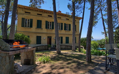 Il Poggio Di Patrignone: Ejendom, Hus, Bygning, Hjem, Estate, Ejendom, Træ, Arkitektur, Værelse, Sommerhus