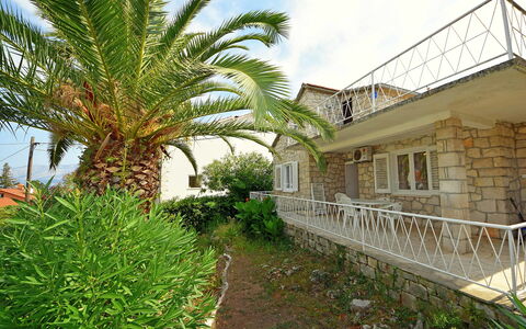 Villa Palma: Plante, Himmel, Ejendom, Sky, Plantesamfund, Vindue, Bygning, Botanik, Vegetationen, Arecales