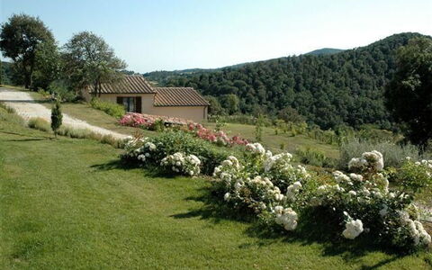 Villa Di Seripa: Land Lot, Ejendom, Have, Plante, Græs, Plantesamfund, Busk, Træ, Landdistrikt, Lawn