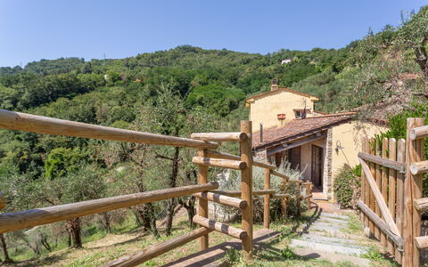 Villa Mastiano: Ejendom, Landdistrikt, Ejendom, Træ, Hus, Landskab, Bygning, Plante, Landsby, Vej
