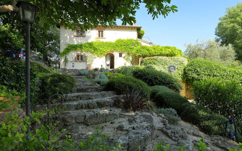 Oasis: Vegetationen, Ejendom, Have, Naturlige Landskab, Hus, Sommerhus, Botanik, Busk, Bygning, Træ