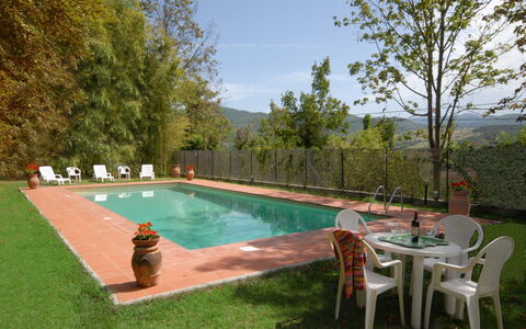 Villa Del Conte: Svømmepøl, Ejendom, Backyard, Græs, Fritid, Ejendom, Estate, Hus, Gård, Træ