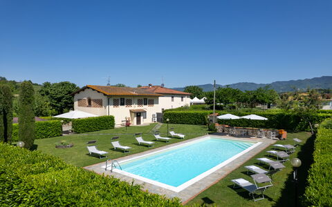 Villa Del Borgo: Estate, Hacienda, Villa, Svømmepøl, Lawn, Stuehus, Hotel, Udvej, Landscaping, Gård