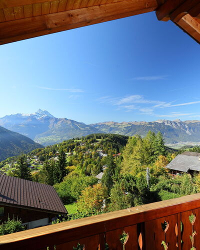 Chalet Zan-Fleuron