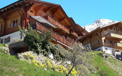 Bluemewäg Apt.r - Wengen, Bern, Schweiz