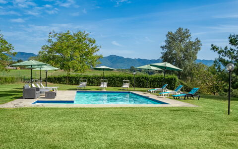 Villa La Collina: Plante, Himmel, Sky, Paraply, Vand, Svømmepøl, Træ, Stol, Skygge, Udendørs Møbler