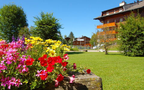 Villars 125: Blomst, Natur, Have, Plante, Forår, Træ, Himmel, Græs, Botanik, Hus