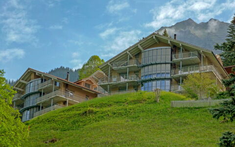 Wengen 62: Ejendom, Hus, Hjem, Vegetationen, Naturlige Landskab, Ejendom, Bygning, Land Lot, Hill Station, Arkitektur