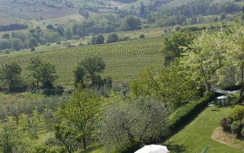 Agriturismo Paterno: Vegetationen, Naturlige Landskab, Highland, Naturreservat, Naturligt Miljø, Ødemark, Hill Station, Træ, Bakke, Bjerg