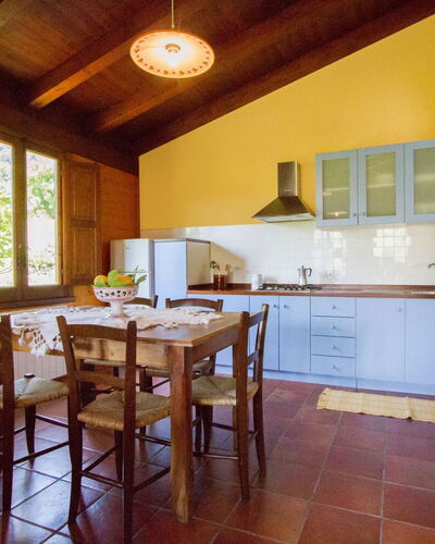 Borgo Maisale Ulivo 160.3