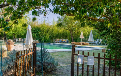 Agriturismo Il Molinello: Plante, Vand, Hegn, Træ, Naturlige Landskab, Skygge, Vedplante, Træ, Græs, Home Fencing