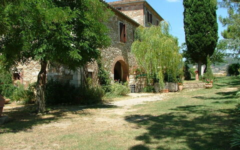 Agriturismo Il Molinello: Ejendom, Hus, Bygning, Træ, Græs, Estate, Ejendom, Arkitektur, Hacienda, Landdistrikt