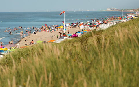 Zeeparel 402 with Balcony: Vand, Himmel, Plante, Strand, Træ, Coastal Og Oceaniske Landskabsformer, Horisont, Fritid, Landskab