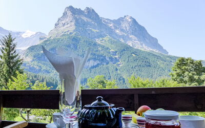 Chalet Mettli