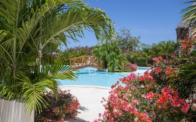 Swordfish Villas In Malindi: Ejendom, Udvej, Vegetationen, Palme Træ, Træ, Ferie, Svømmepøl, Tropics, Ejendom, Arecales