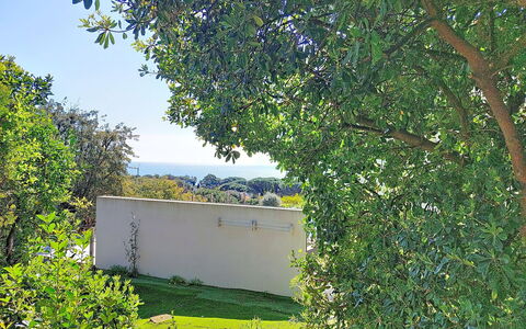 Villa Chantoiseau: Blå, Daytime, Blad, Grøn, Afdeling, Vegetationen, Busk, Land Lot, Have, Skygge
