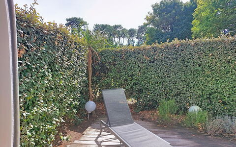Artémis: Busk, Hæk, Bunddække, Have, Skygge, Evergreen, Backyard, Urt