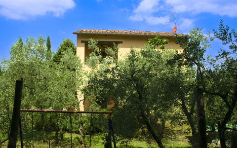 Collina dei Fiori: Træ, Blad, Vegetationen, Busk, Land Lot, Hjem, Landdistrikt, Forår, Sommerhus, Have