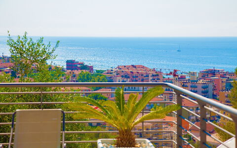 Villa Il Poggiolo Apartments - Diano Marina: Ejendom, Altan, Majorelle Blue, Ejendom, Bygning, Træ, Ejerlejlighed, Plante, Lejlighed, Udvej