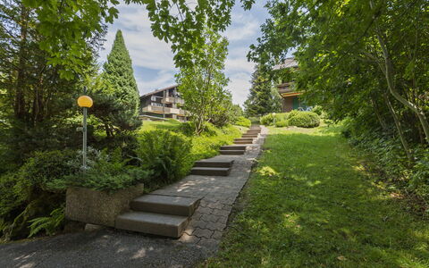 Rehli: Grøn, Busk, Have, Bunddække, Trappe, Forår, Walkway, Landscaping, Lawn, Gård