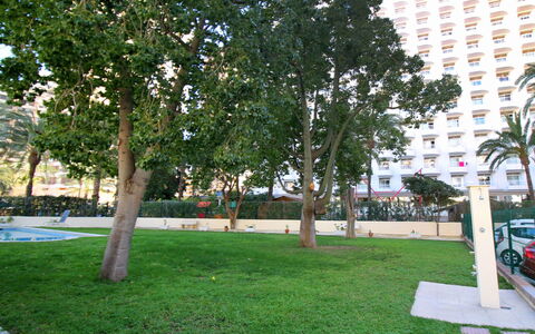 Waldorff: Træ, Offentlige Rum, Græs, Ejendom, Lawn, Vedplante, Plante, Urban Design, Parkere, Walkway