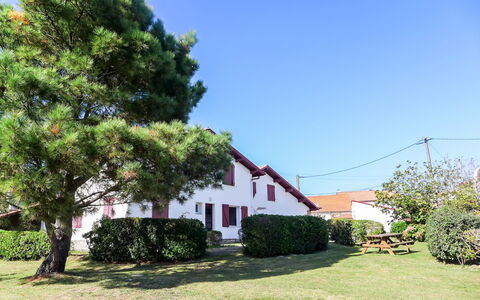Amigorena: Ejendom, Hus, Hjem, Ejendom, Træ, Himmel, Boligområde, Kvarter, Land Lot, Bygning