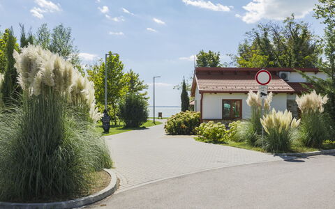Piccola: Busk, Have, Indkørsel, Landscaping, Walkway, Skygge, Forstad, Gård